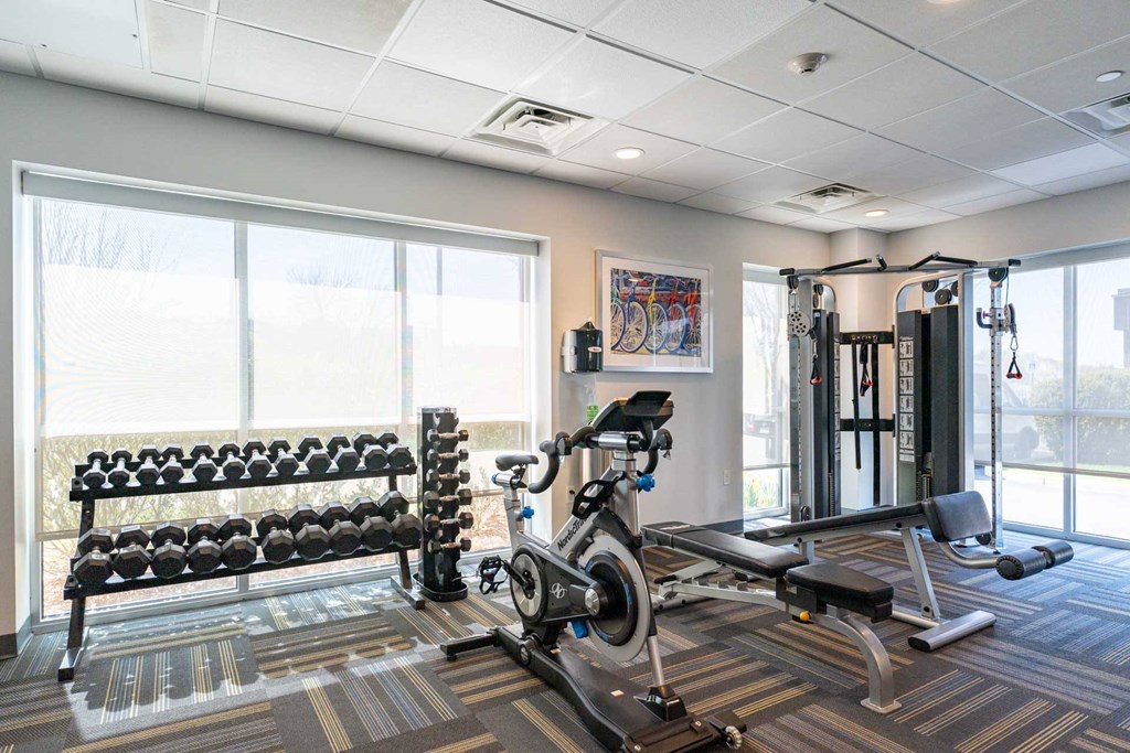 Chelsea Place gym with a row of dumbbells, a bench, a stationary bike, and a squat rack.