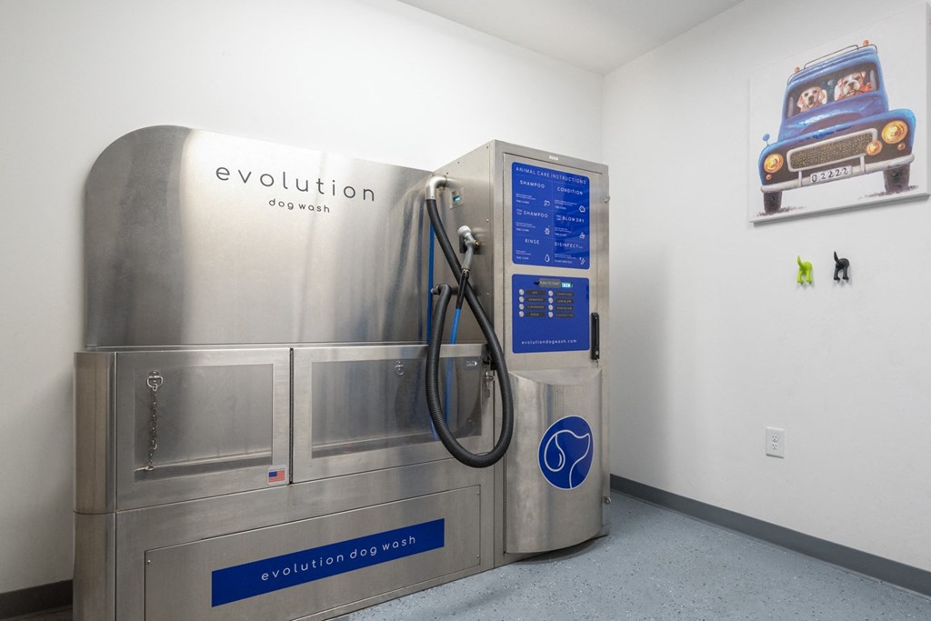 Pet Grooming station