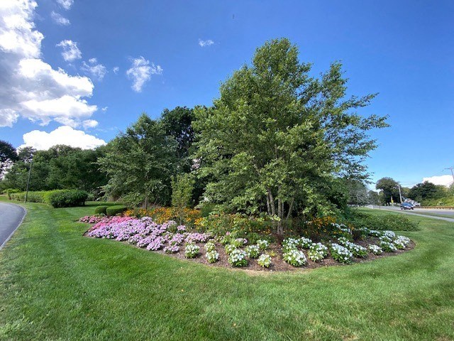 Flowers at Kent Village