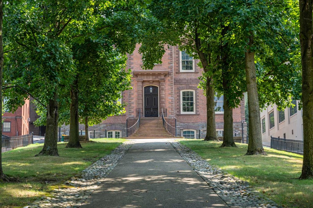 A pathway with trees on both sides leads to a building.