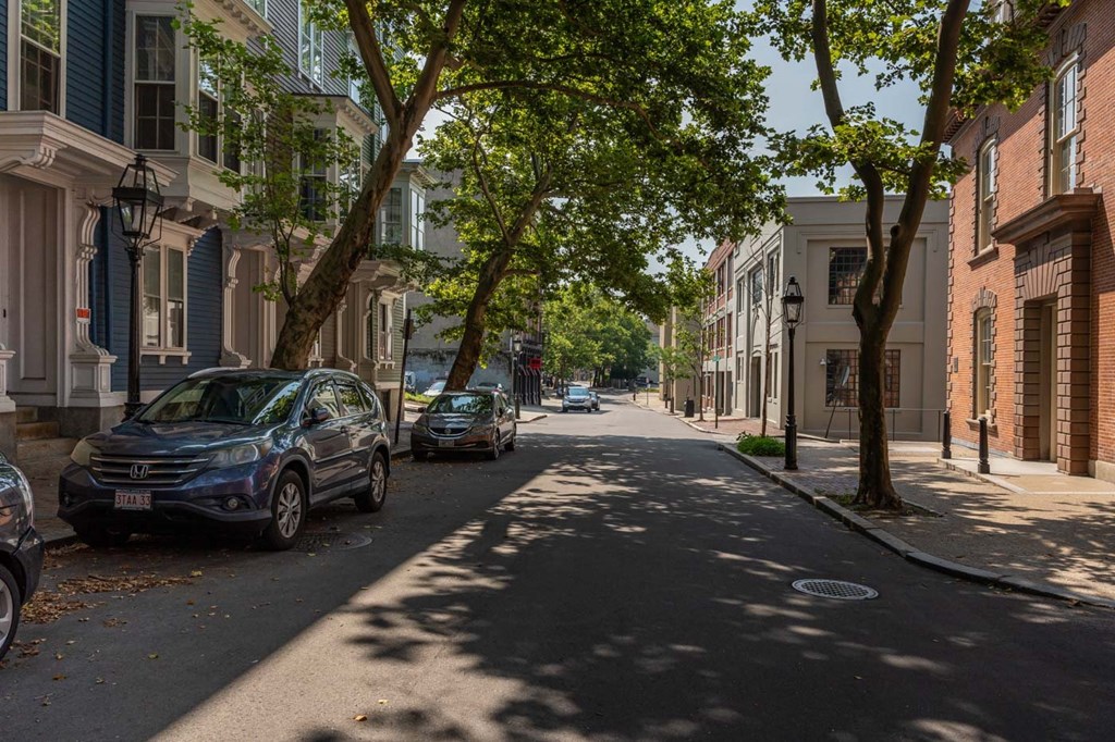 A tree-lined street with cars parked on the side.