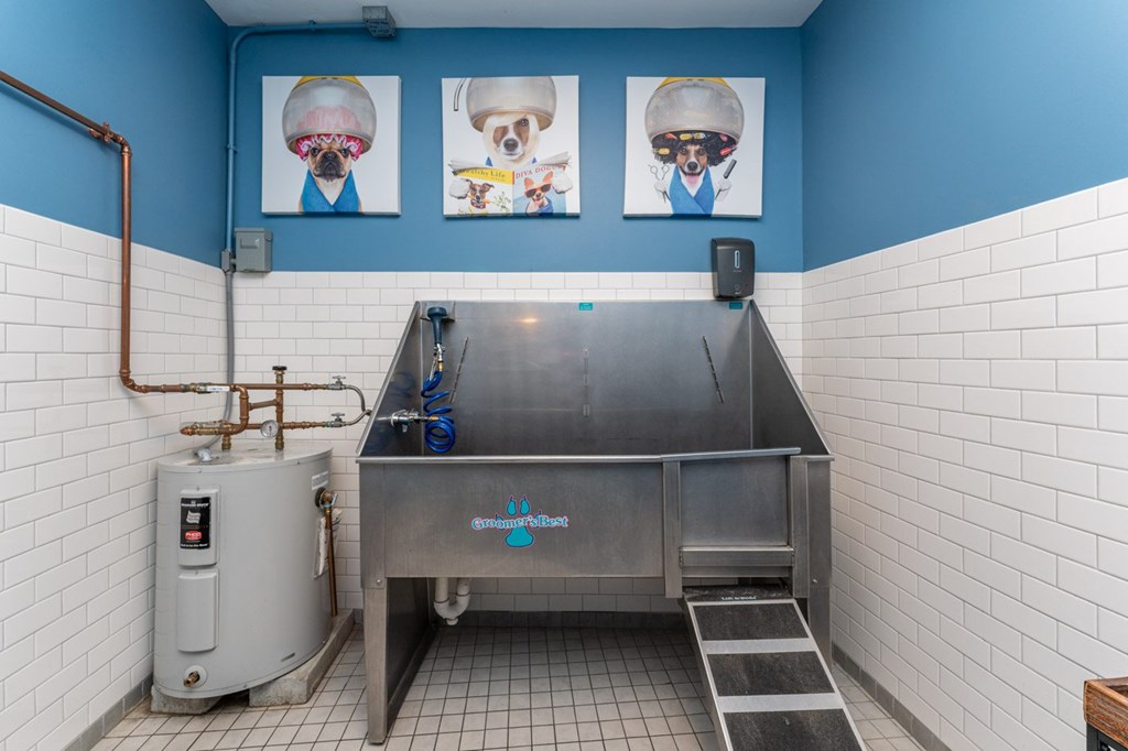 A dog is shown on a poster in a room with blue walls.