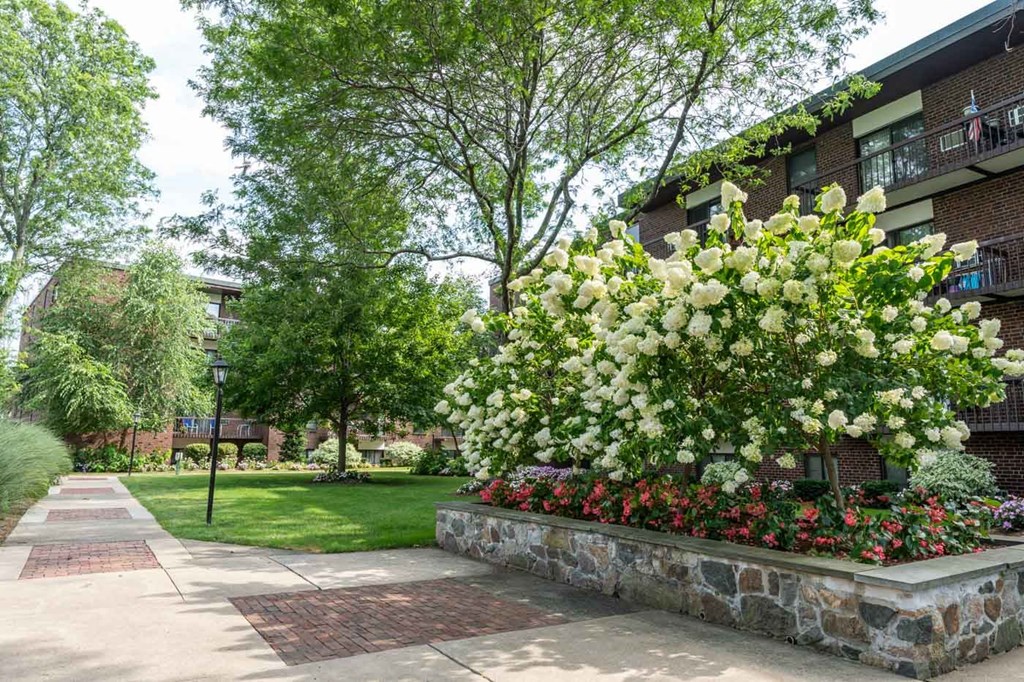 Landsaping in the quincy commons courtyard