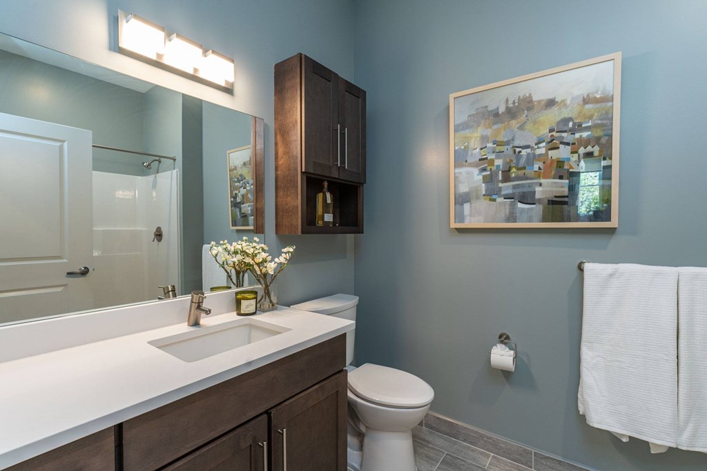 The Residences at Crosspoint bathroom features a white vanity countertop with an undermount sink, dark wood cabinetry, a large mirror reflecting a walk-in shower, and an abstract painting on a slate-blue wall.