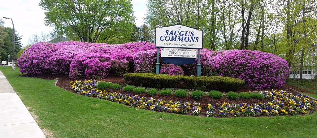 Saugus commons entrance signage