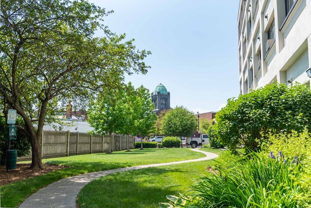 A green tree is in the foreground of a city park.
