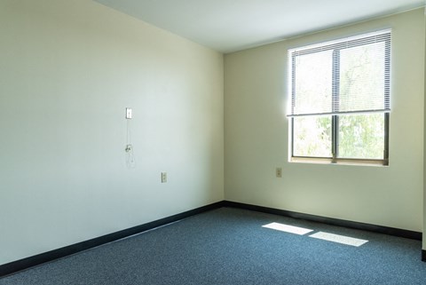 A room with a window and a carpeted floor.