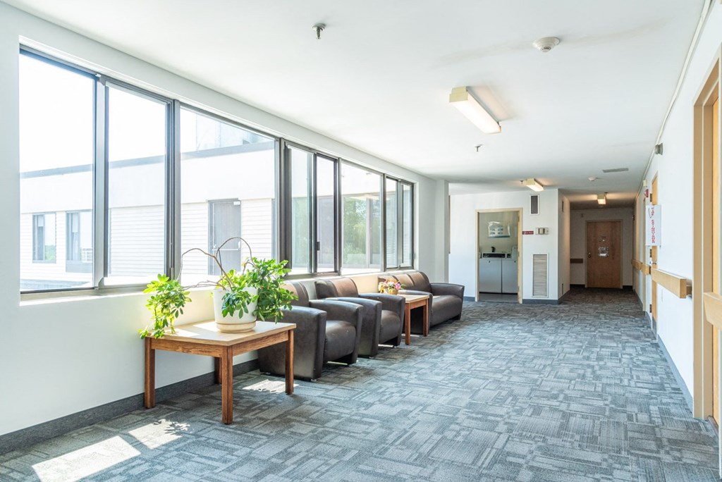 A room with grey carpet and a long wooden table with a potted plant on it.