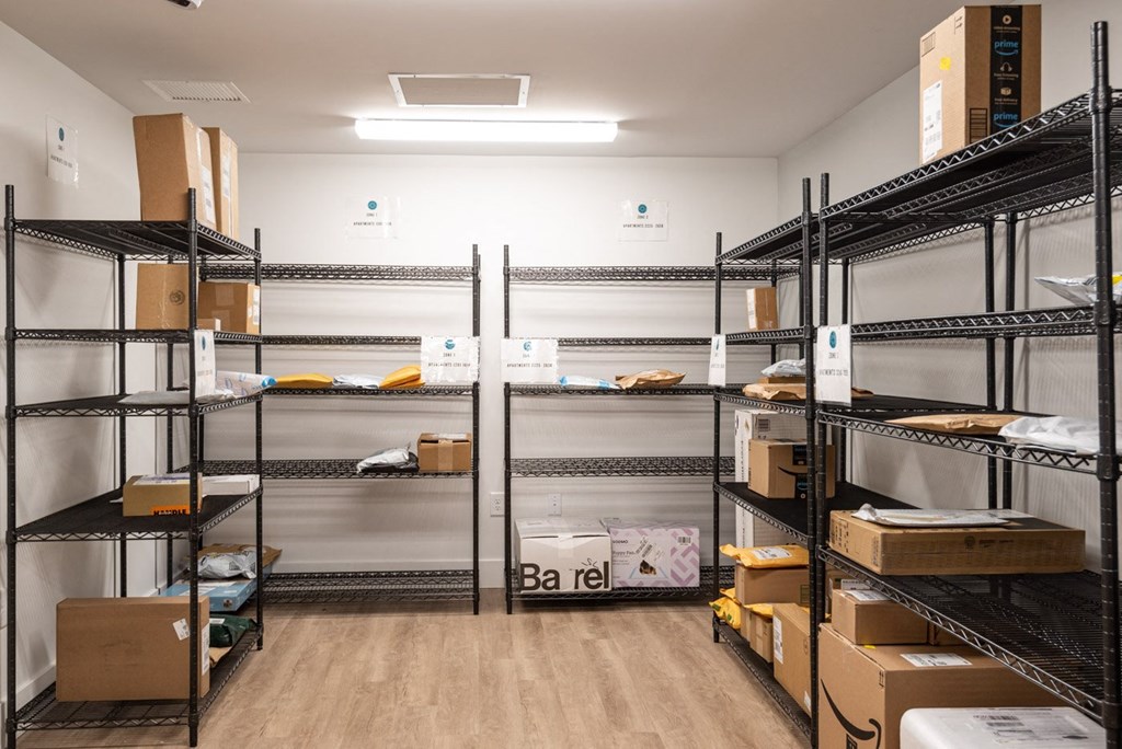 Secure Package Room