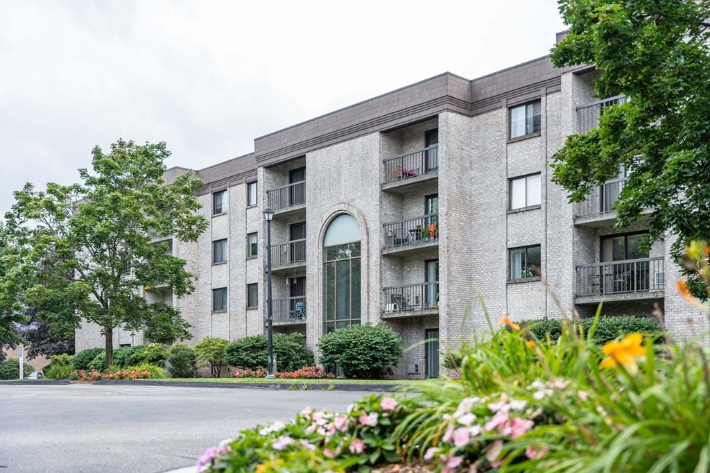 our apartments are located in the heart