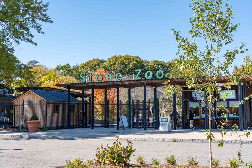 The entrance to the Stone Zoo is framed by trees.