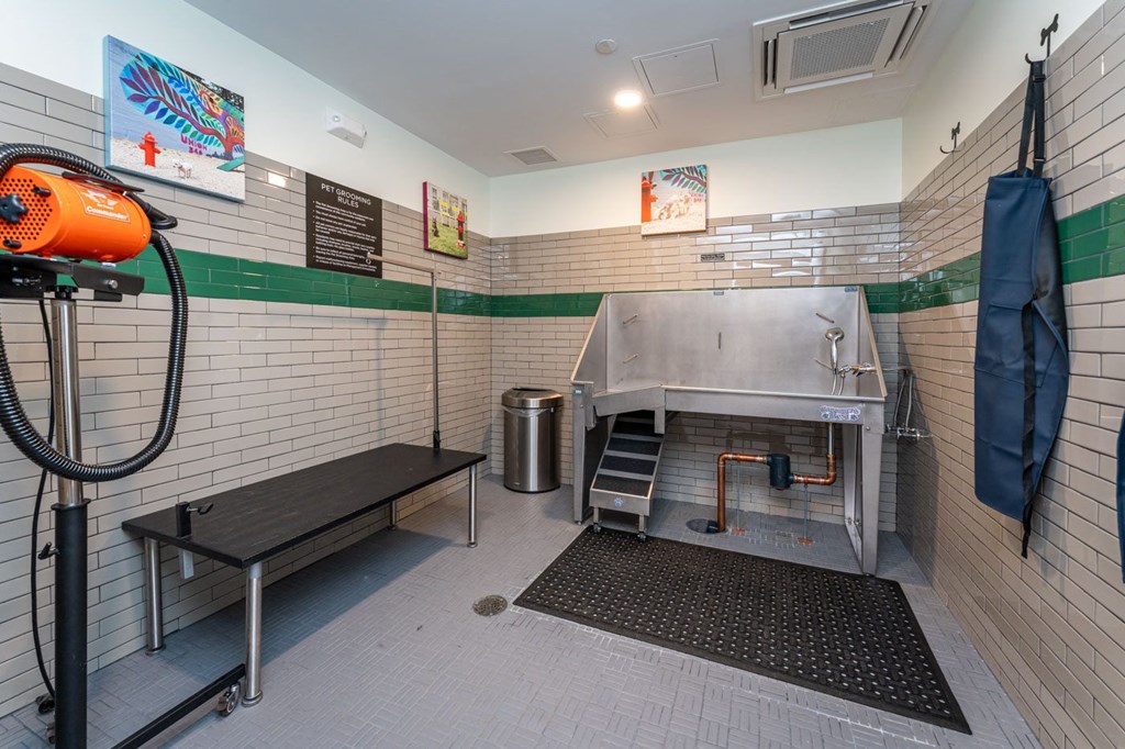 union 346 pet spa and washing station at Union 346, Massachusetts