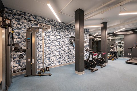 fitness center bikes and  cable machineat Union 346, Somerville, 02143