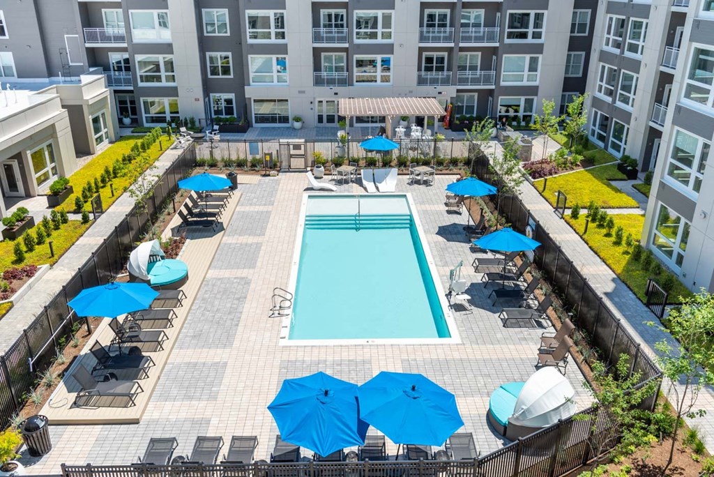 Courtyard with large saltwater pool