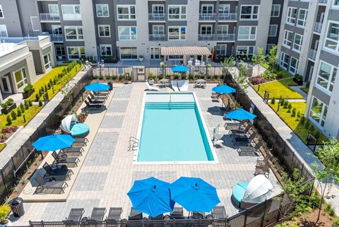 Courtyard with large saltwater pool