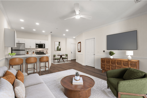 375 Broadway 1-2 Beds Apartment for Rent