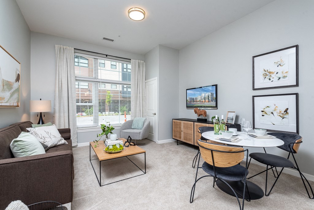 Living room with large window and plush carpeting for you