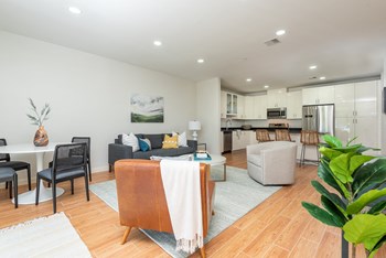 The sto's new apartment one bedroom living room with kitchen in background - Photo Gallery 2