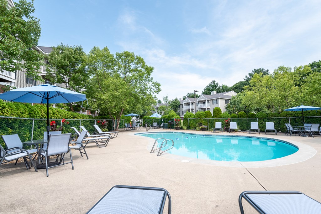 pool deck and folliage