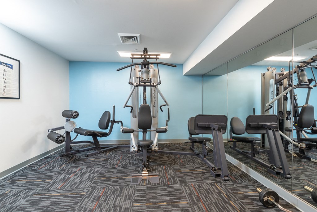 gym cable machine weights