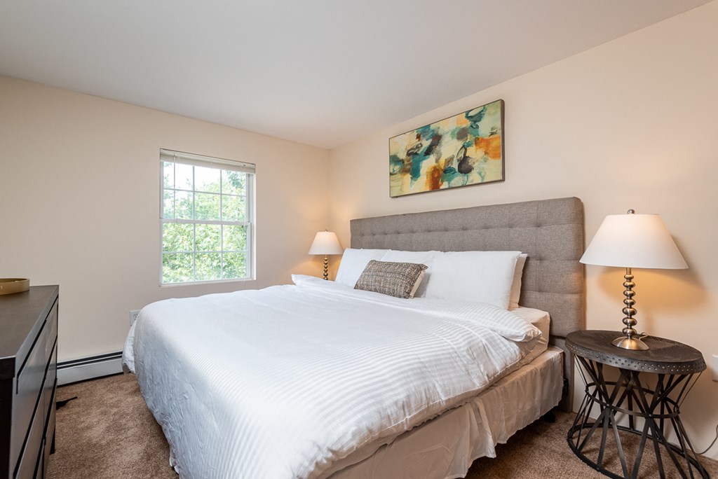 bedroom with plush carpeting