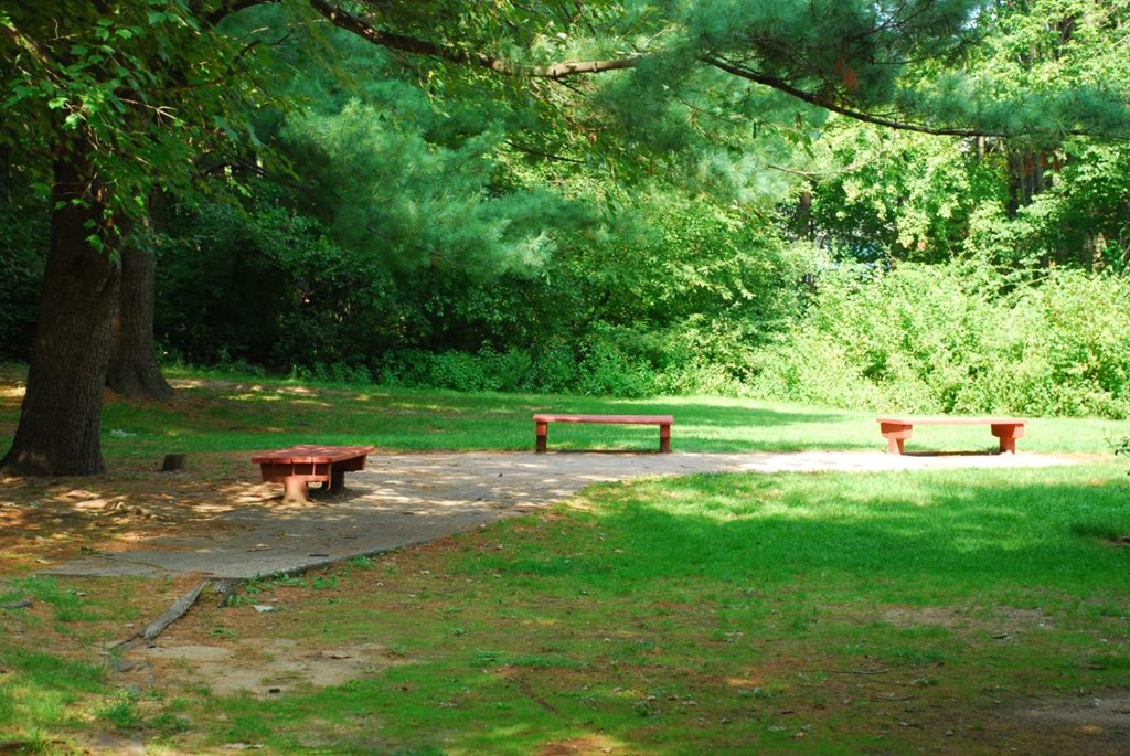 Amherst Park