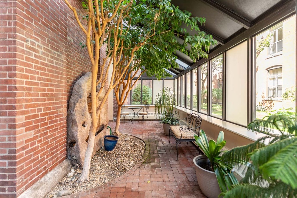 a room with a brick wall and a tree in it