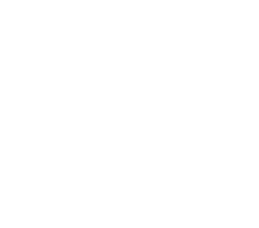 Shrewsbury Commons logo