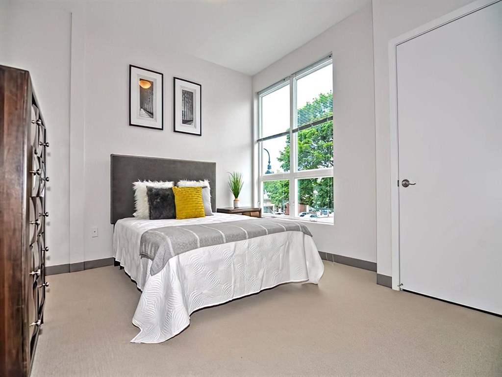 One Mansfield Bedroom with Plush Carpeting and Large Windows