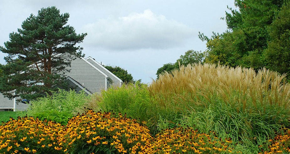 Flowers at Kent Village