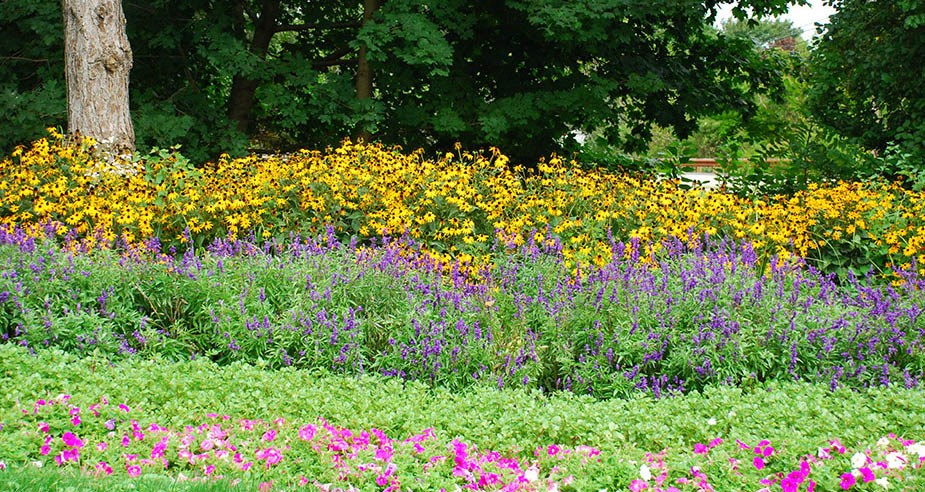 Flowers at Kent Village