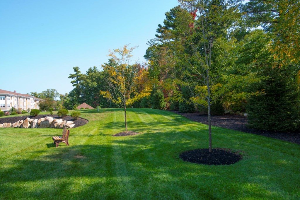 A serene and well-maintained grassy area with lush trees, perfect for enjoying nature at Webster Woods.