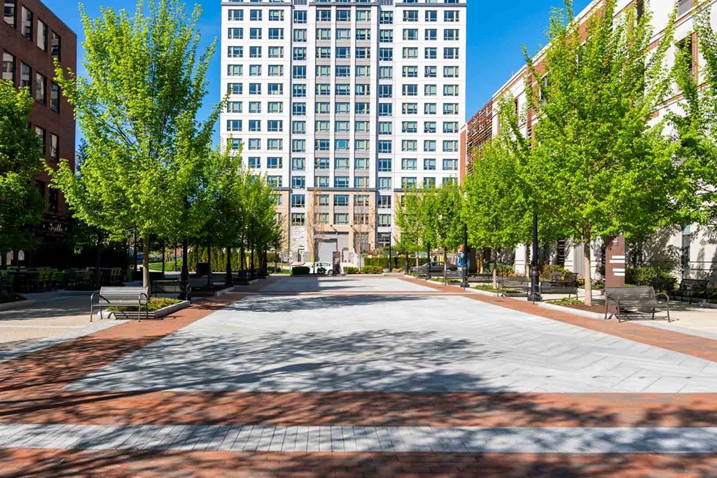 A city street with trees and benches in front of a tall building.