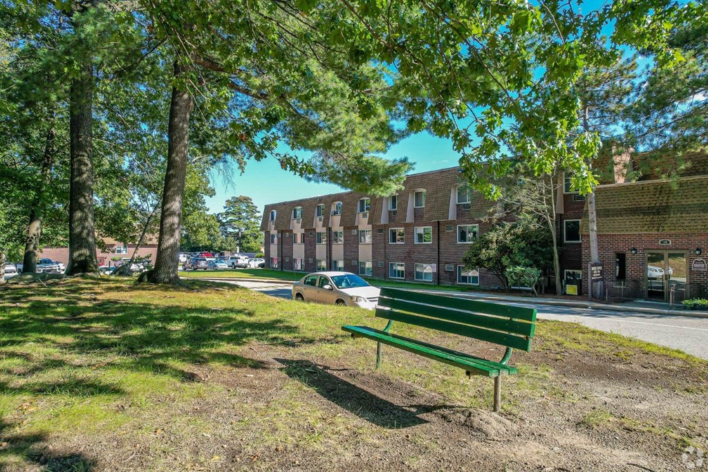 Bench area under tree at The Chesterfield apartments with numerous outdoor spaces to unwind.