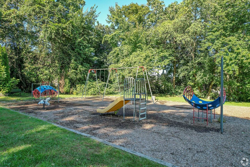 A playground with a yellow slide and a blue slide.