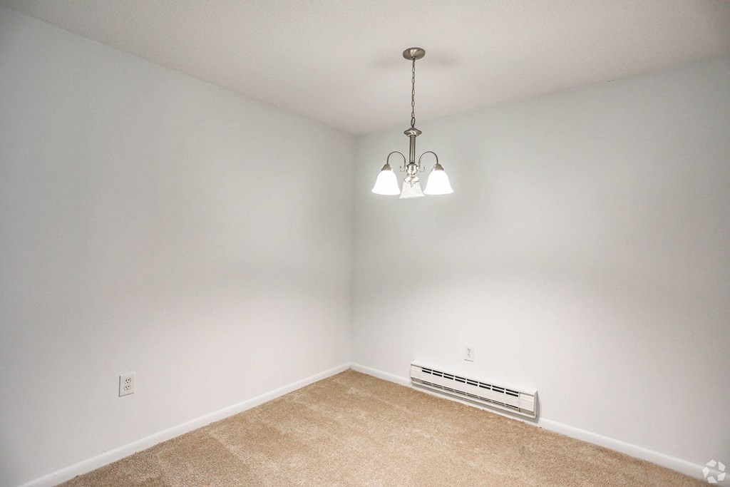 A room with a carpet floor, a ceiling light and heater.