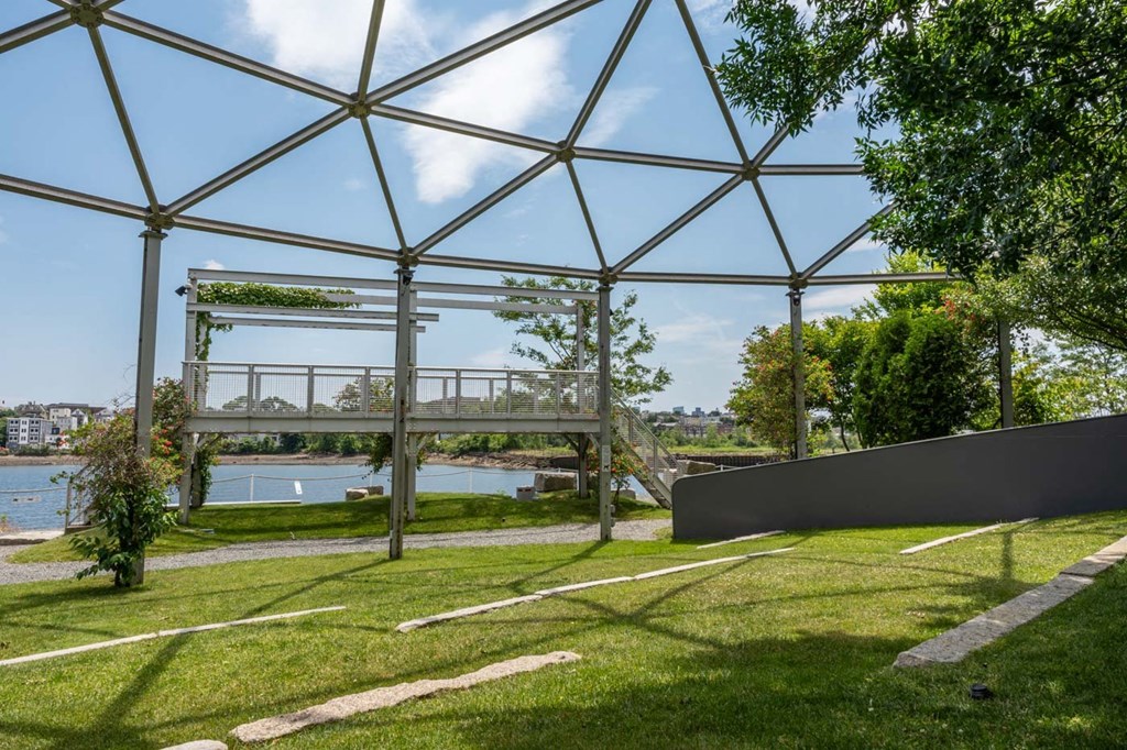 A green plant grows in a metal cage.
