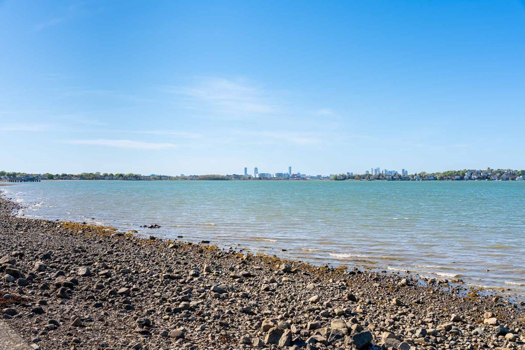 A rocky beach with a city skyline in the distance under a clear blue sky.