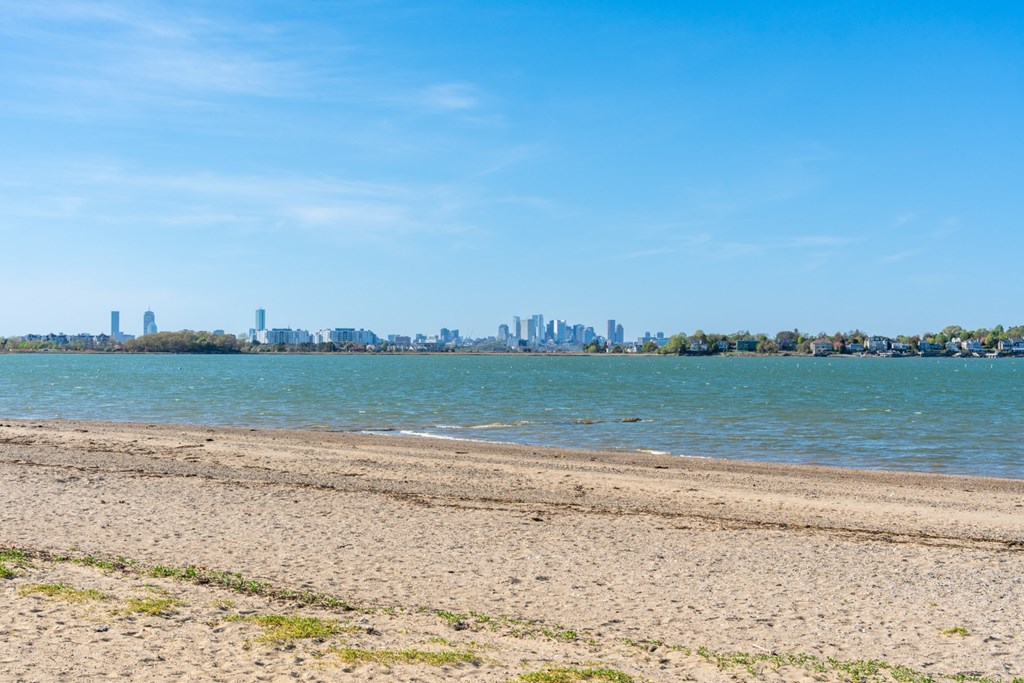 A beach with a city skyline in the background.