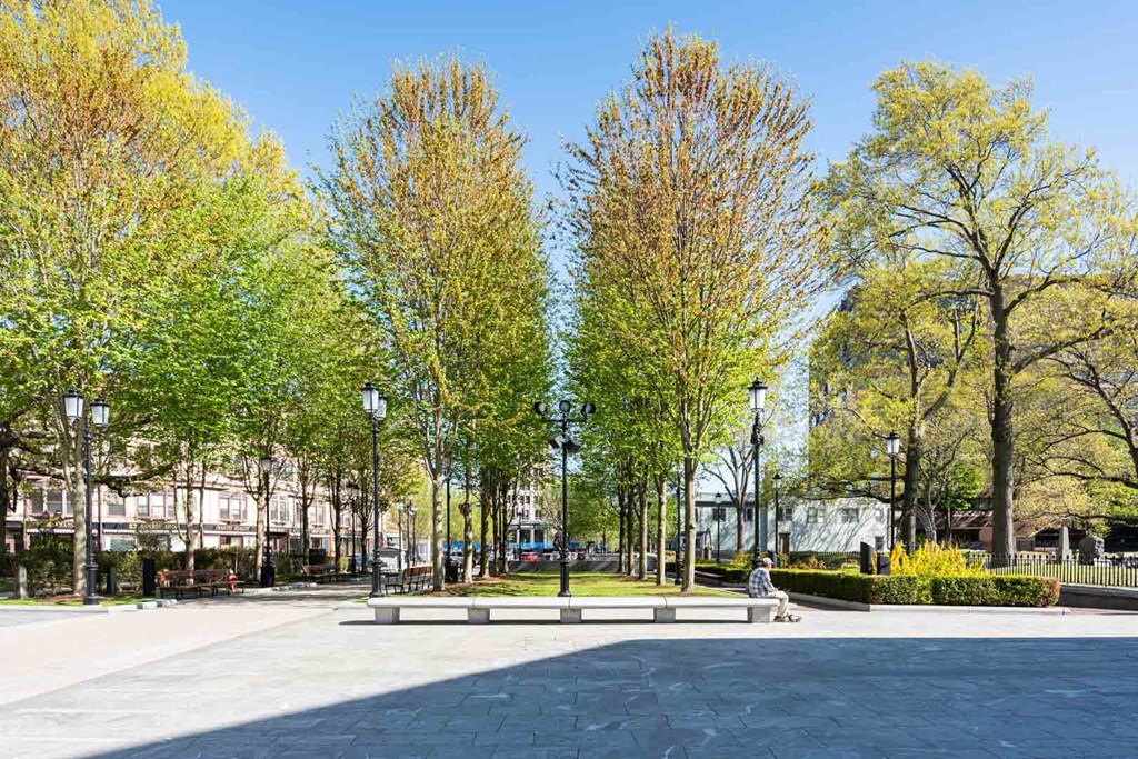 A park with a bench and trees.