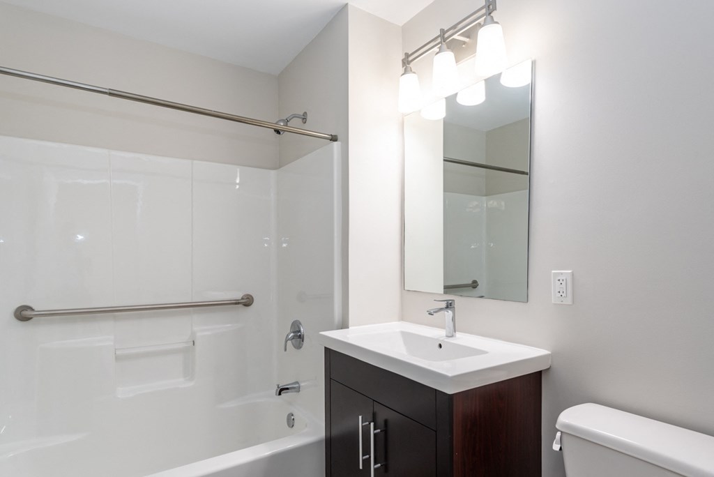 bathroom with bathtub and bright vanity and luxury fittings