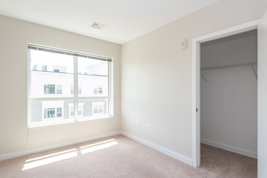 Large bedrooms and closet with carpeted flooring