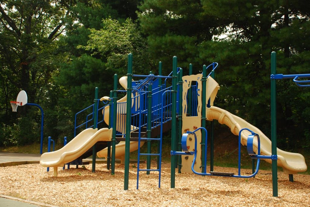 Saugus commons exterior