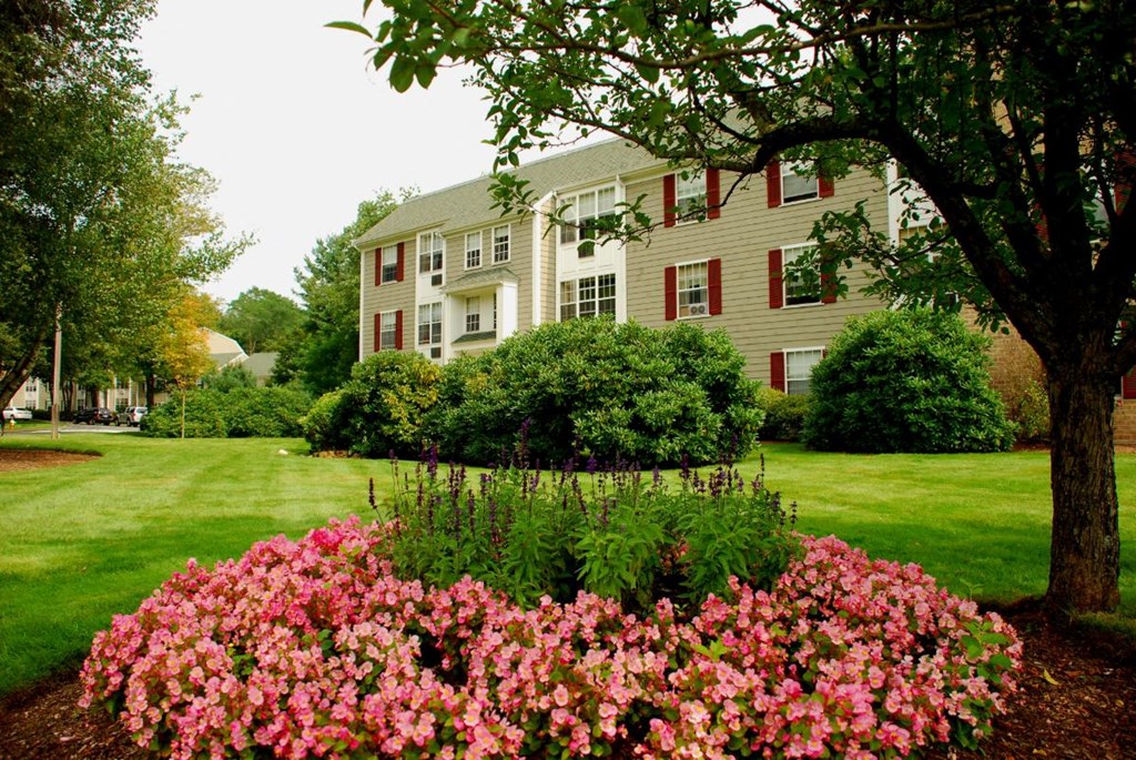 Saugus commons exterior