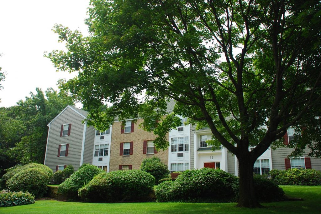 Saugus commons exterior