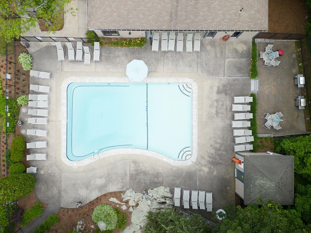 aerial view of a swimming pool with lounge chairs and plants around it