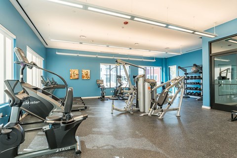 Gym entrance, cardio and strength training equipment with dumbbells
