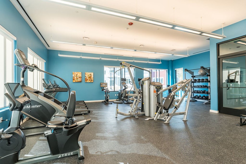 Gym entrance, cardio and strength training equipment with dumbbells