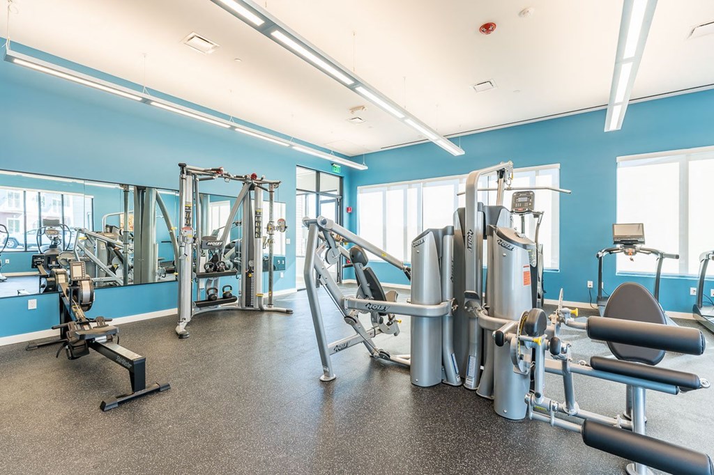 Gym strength training equipment, erg, cable machine