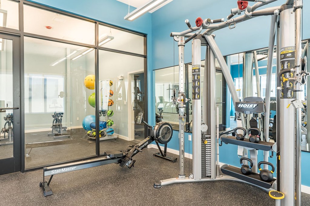 Fitness Center Cable Machine and Erg
